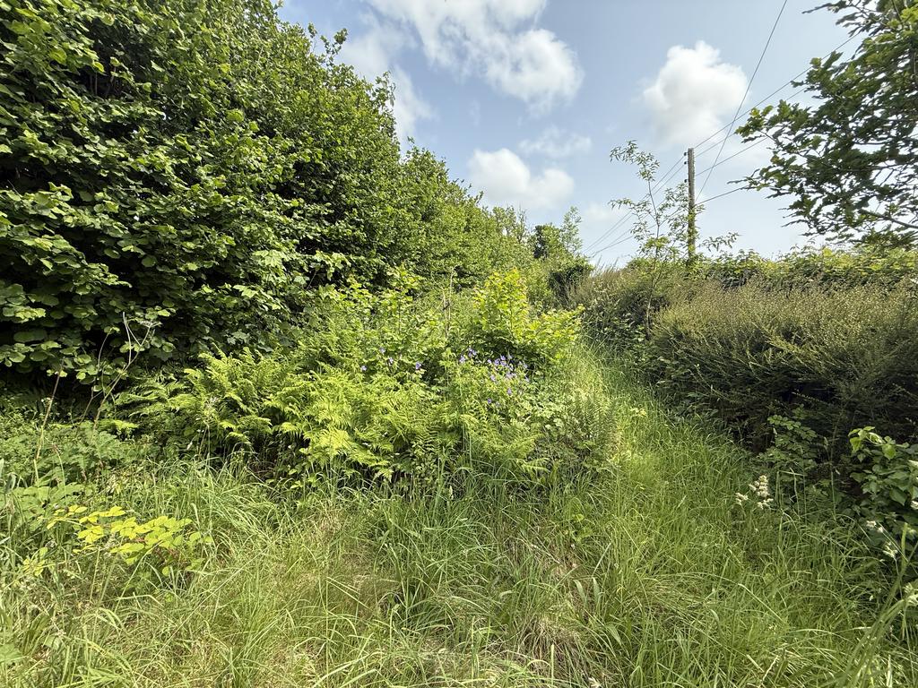 Further Garden