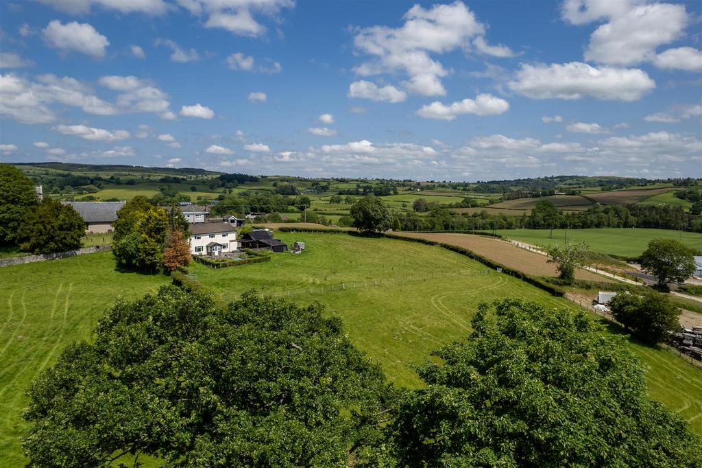 DJI 0248.jpg