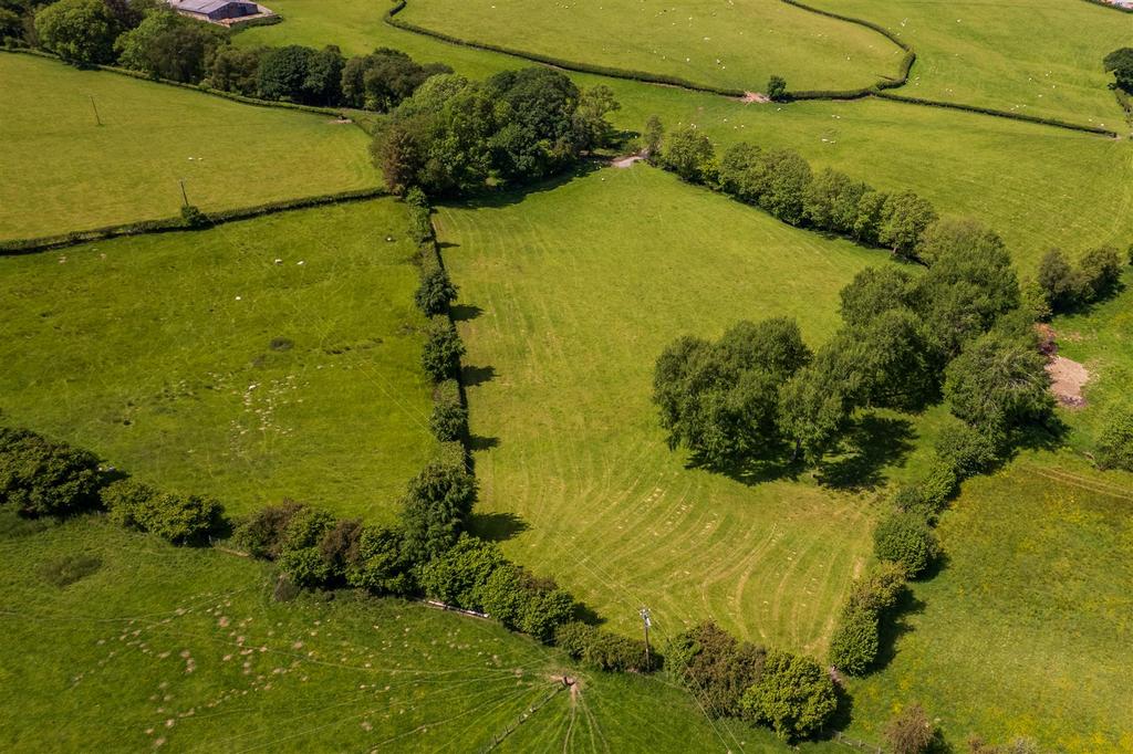 DJI 0268.jpg