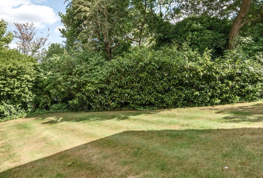 1300745-6-683dbb3...