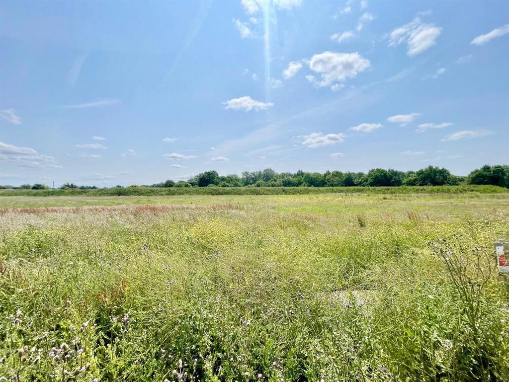 Field Views.jpg