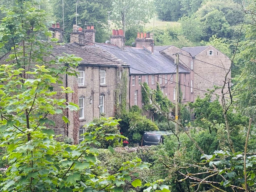 IMG 6713.jpg