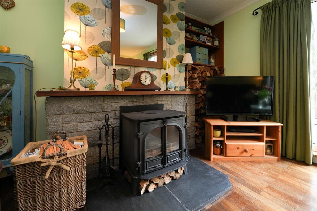 Log Burner