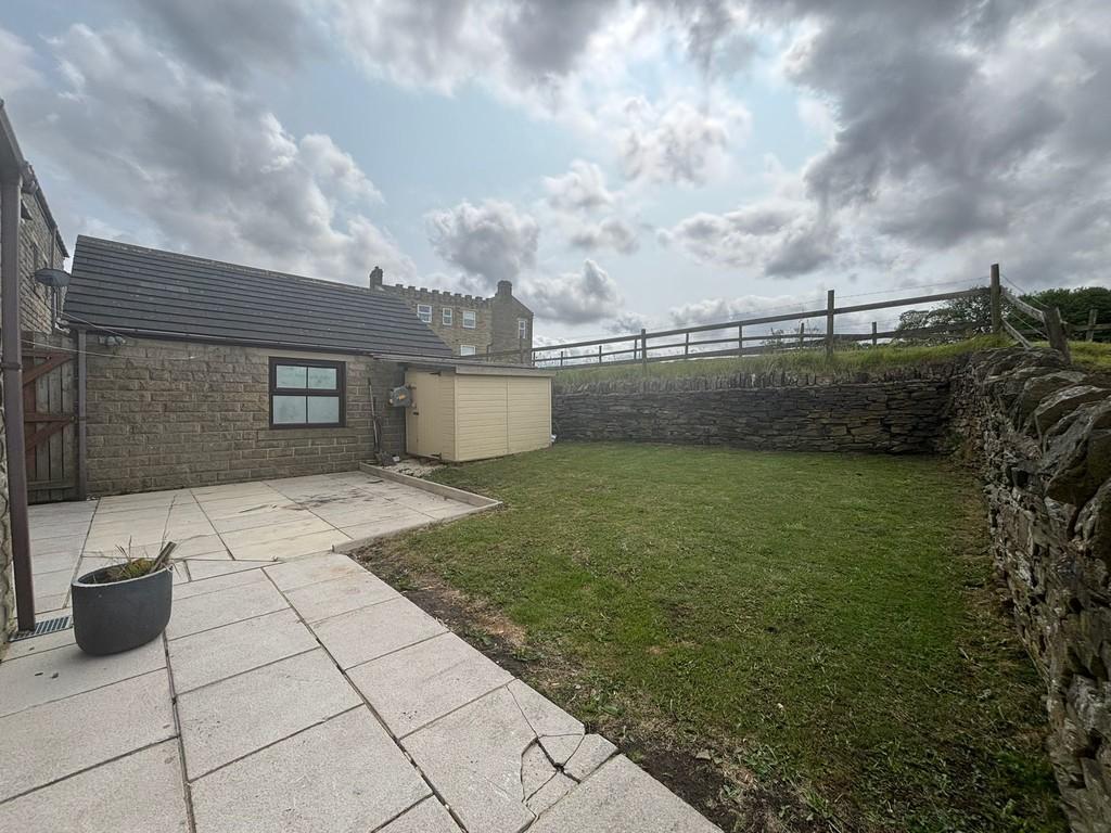 Back garden 2