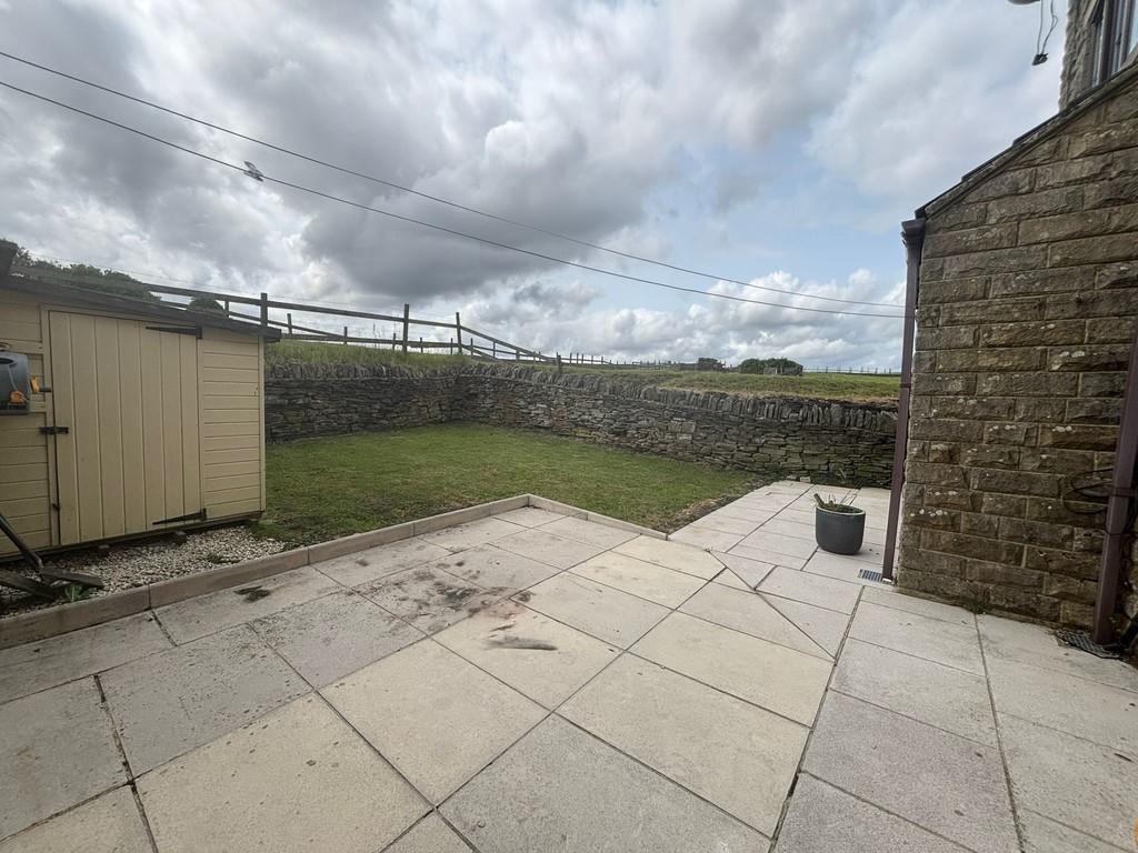 Back garden