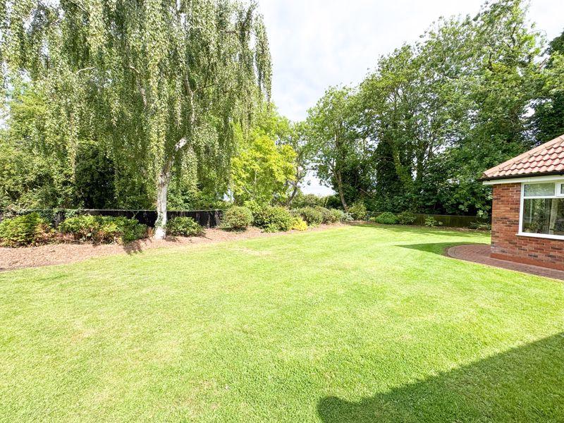 Rear garden view 4