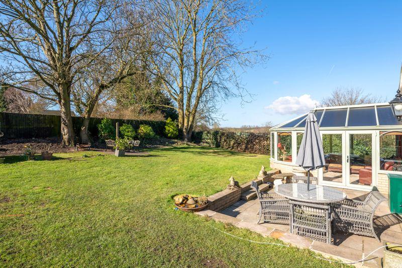 Garden and patio