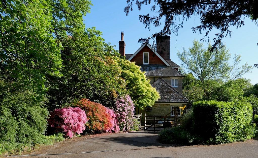 Picture 4