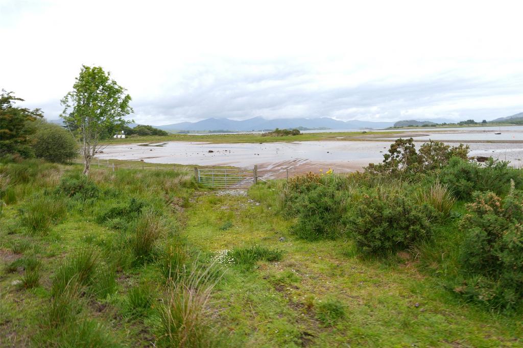 Bay