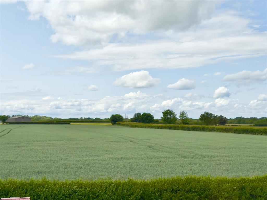 Farmland views
