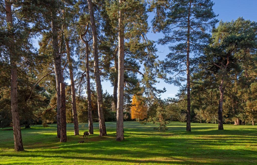 Grounds