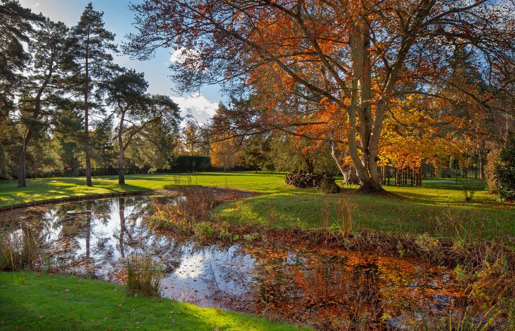 Grounds