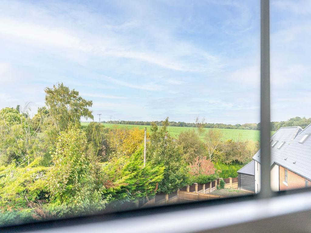 Window views