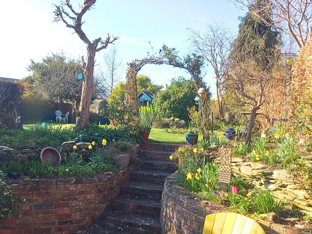 Garden from spekm - Edited