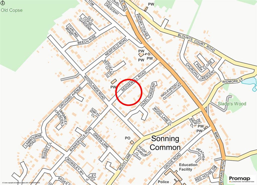 Promap-3176000-3272762-750400-1.png