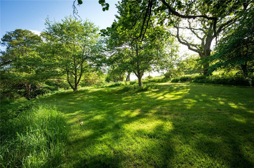 Grounds