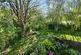 DSC 6166.jpg