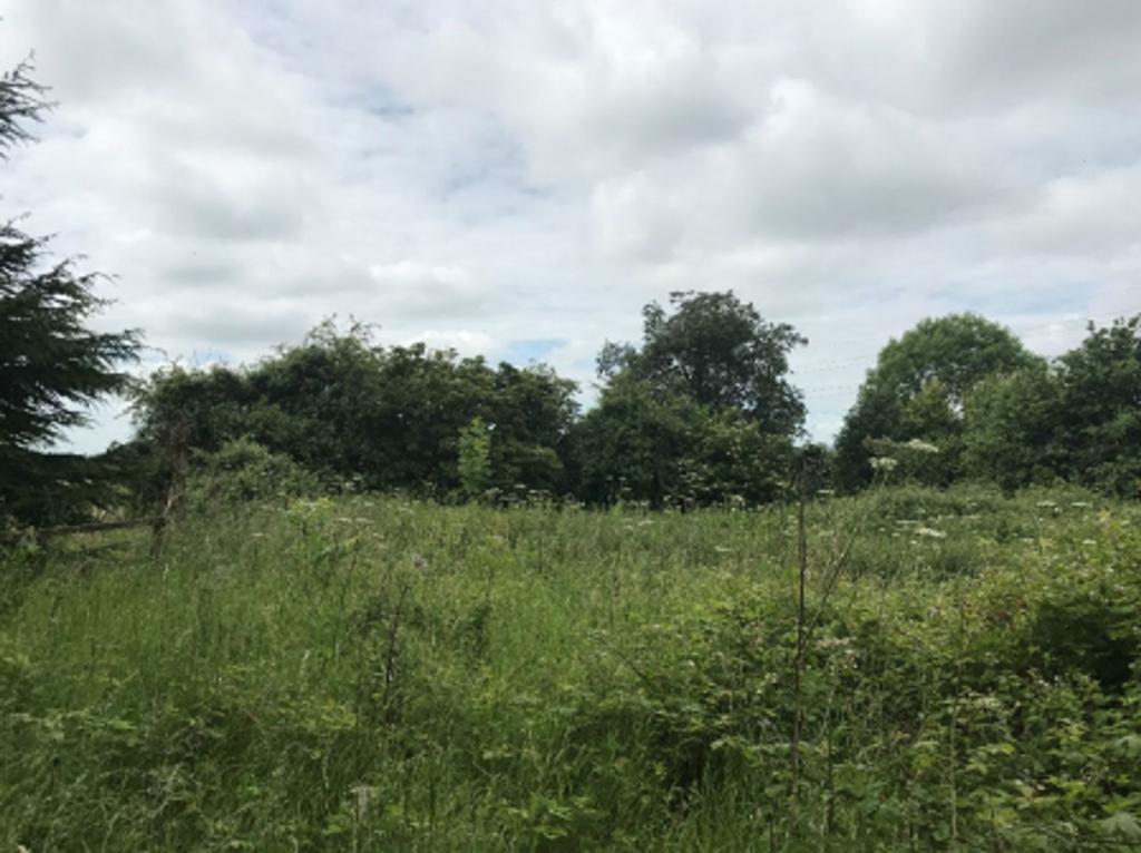 Proposed Southern Boundary Of Site