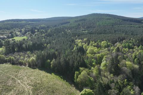 Woodland for sale, Minnonie Woodland, Falls of Feugh, Banchory AB31