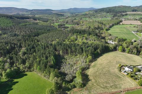 Woodland for sale, Minnonie Woodland, Falls of Feugh, Banchory AB31