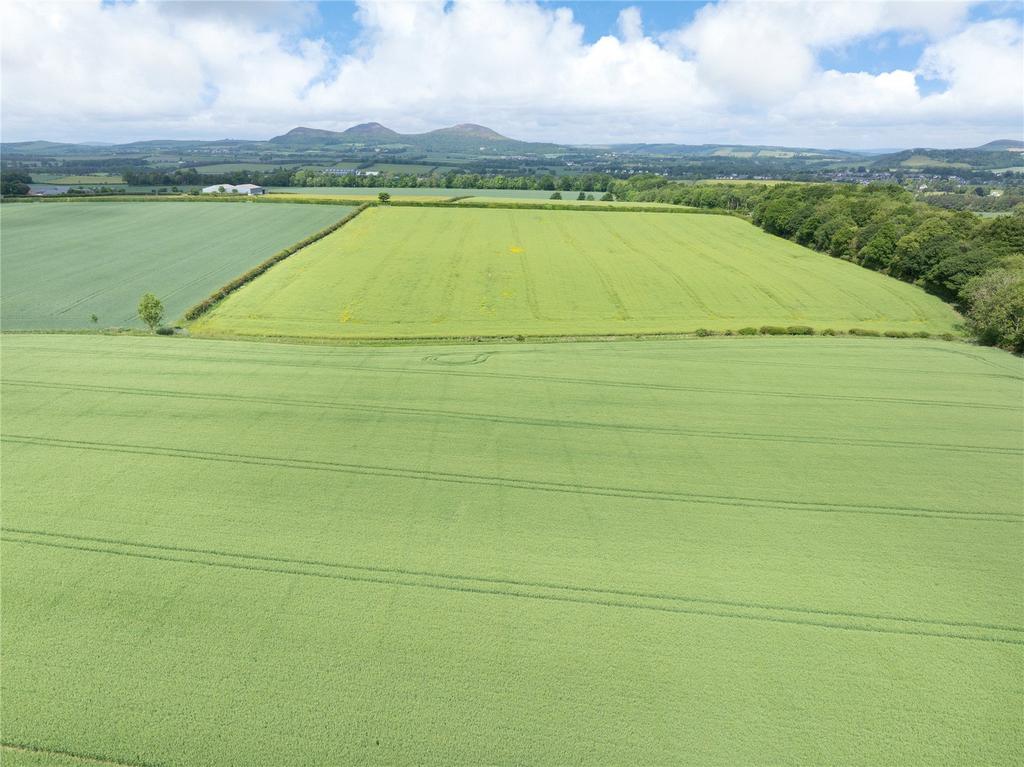 Wellrig Farm - Lot 2