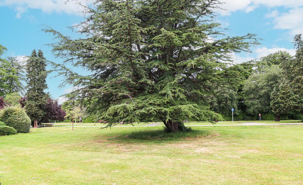 Communal Grounds