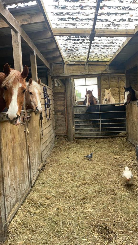 Outbuildings