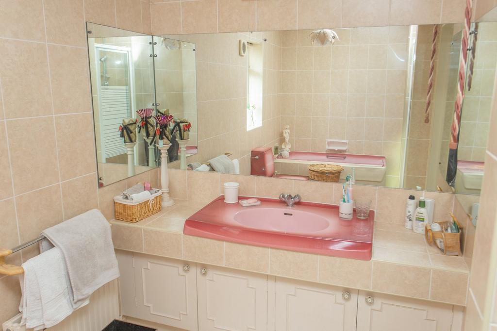 Picture 17