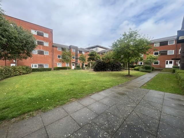 7  Small  T202506111500.jpg
