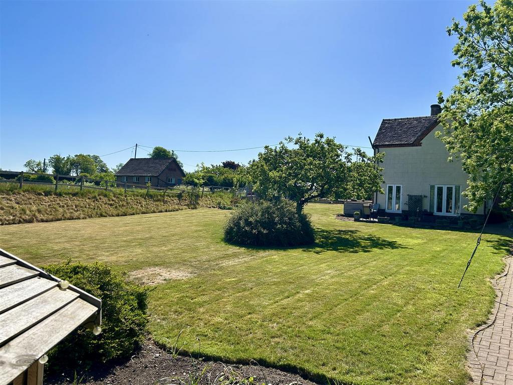 Lawn.JPG