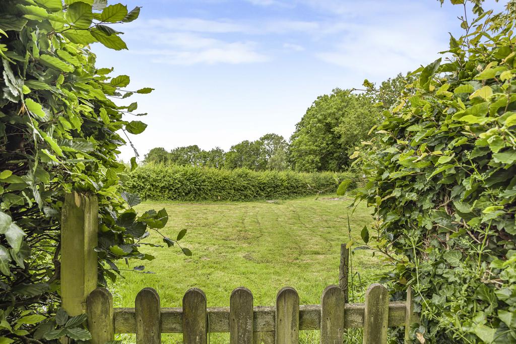 126 55944
