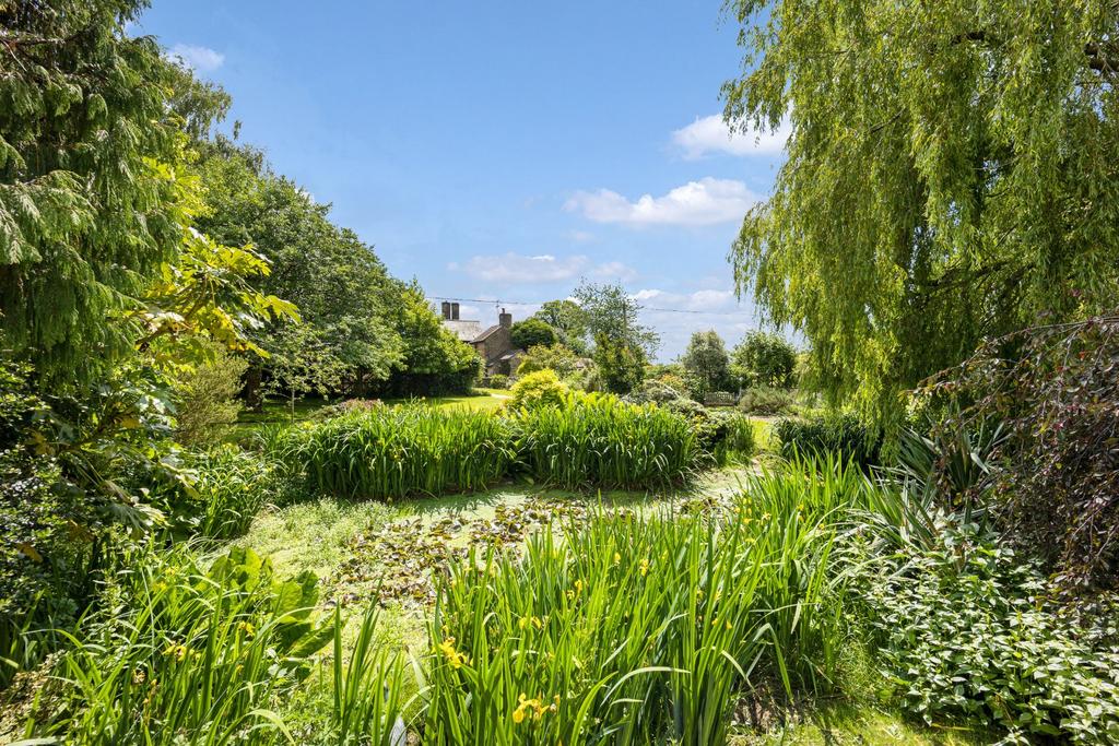 Pond