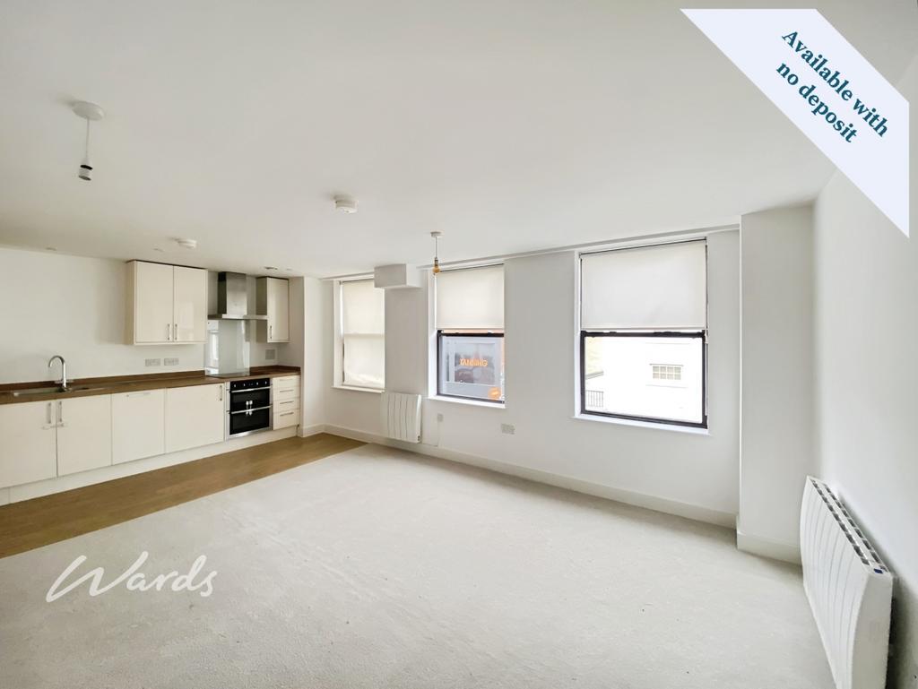 Living/Kitchen Area