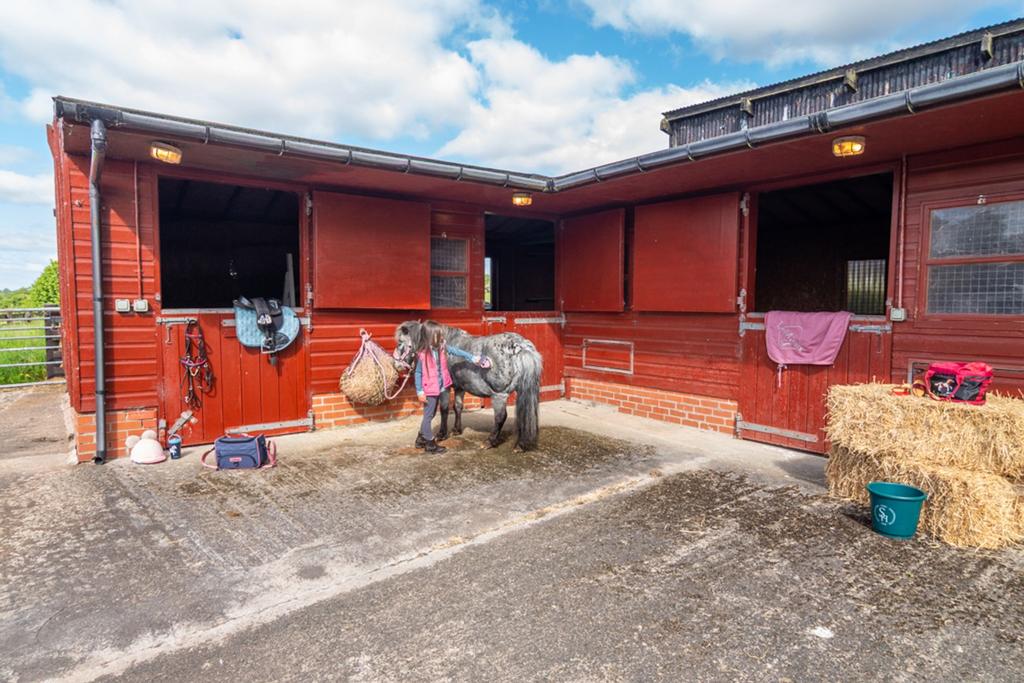 Stables