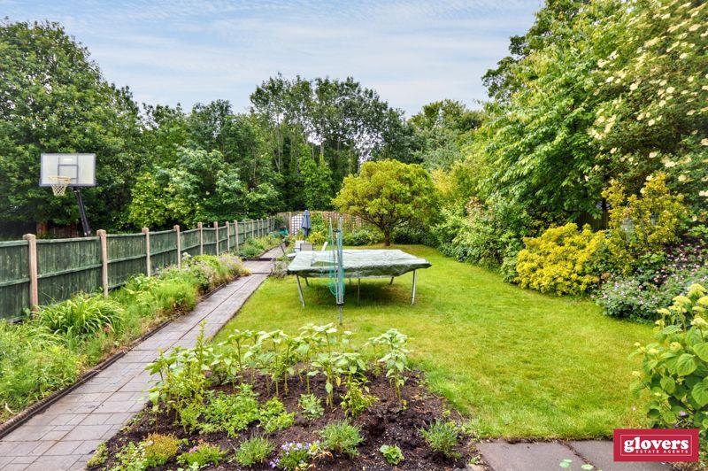 Back garden