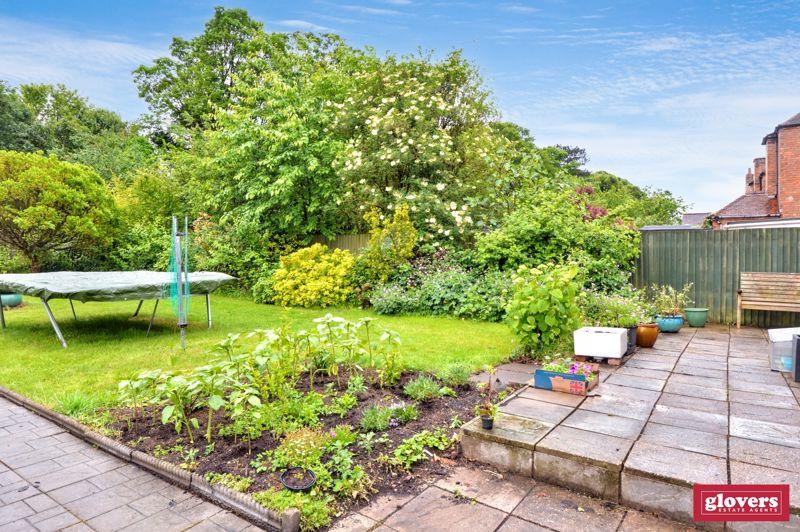 Back garden