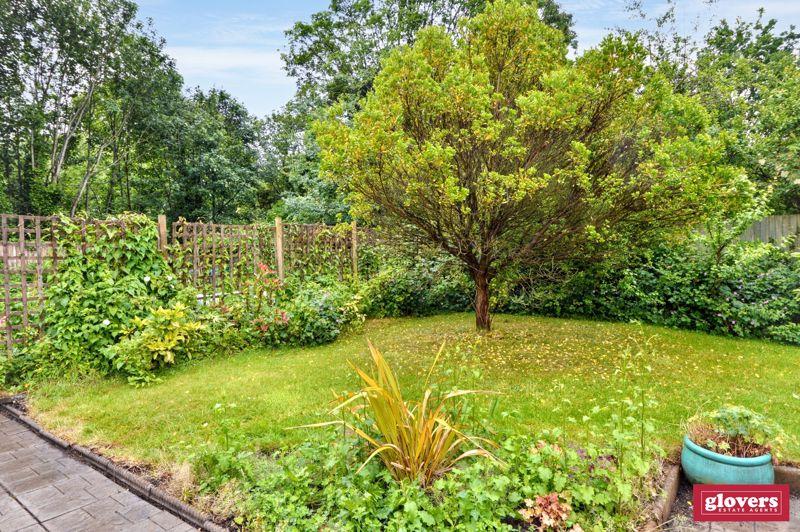 Back garden