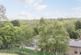 Views