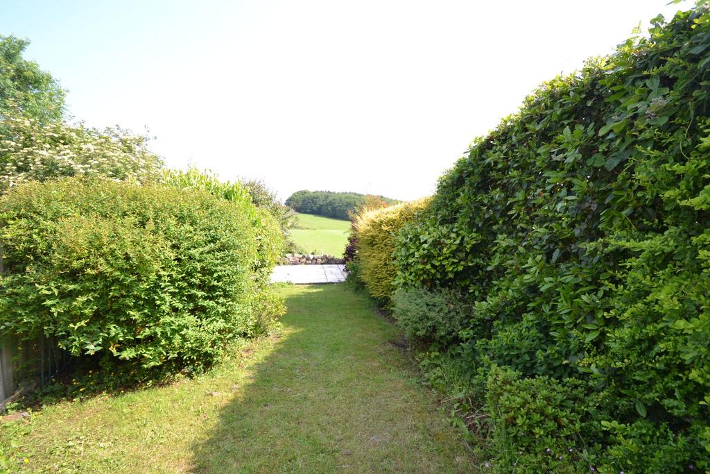 Photograph 19