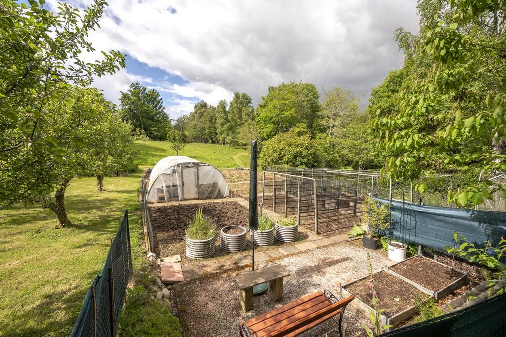 Kitchen Garden