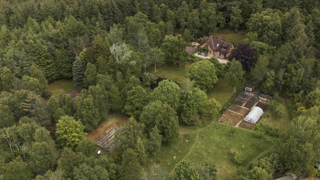 Overview