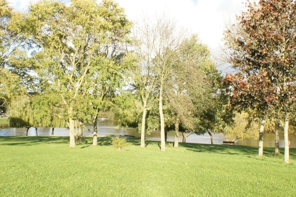 Swanley Park