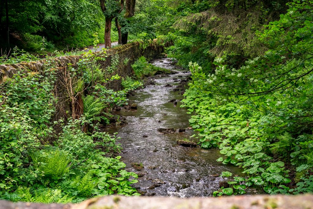 Stream