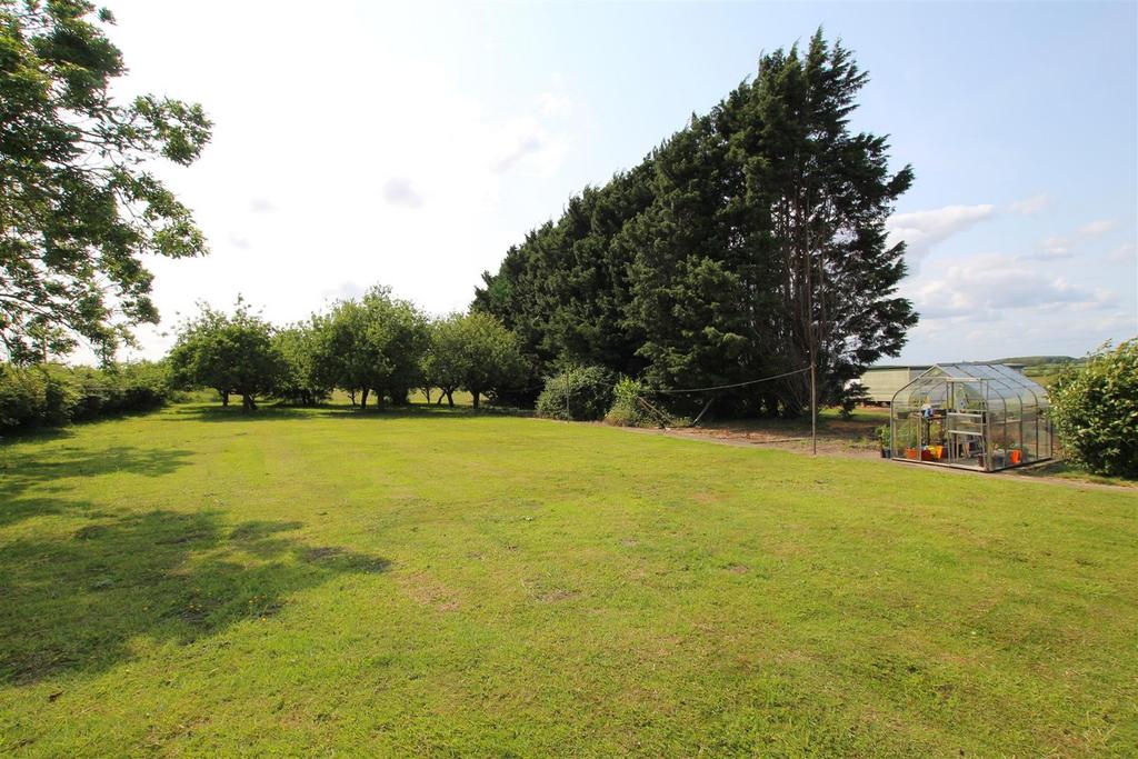 Side Garden &amp; Orchard.JPG