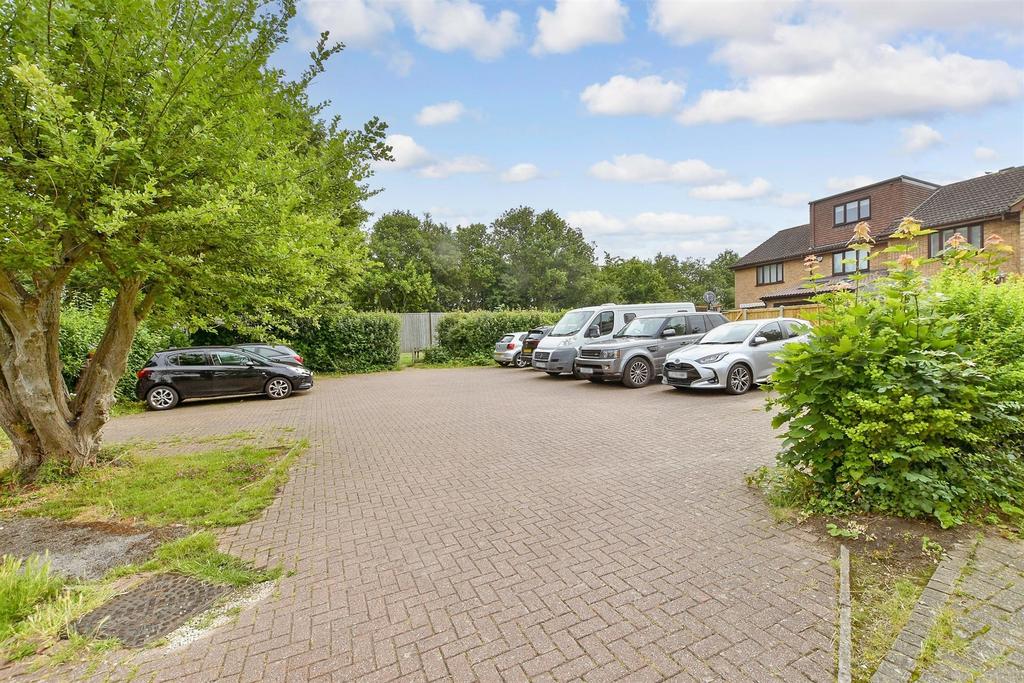 Driveway/Parking