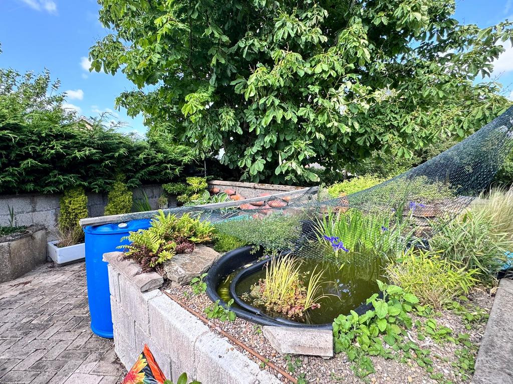 Rear garden
