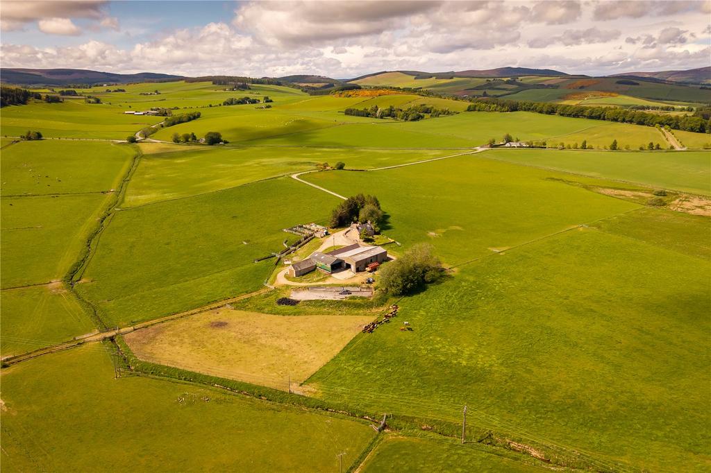Aerial Image