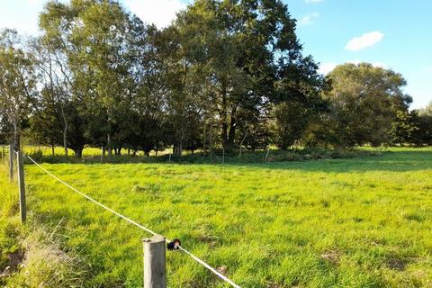 Land for sale, Wortham