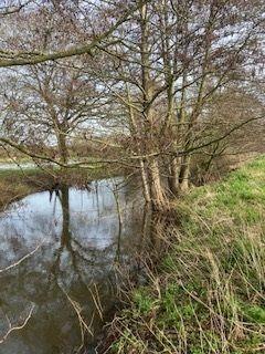 Land for sale, Wortham
