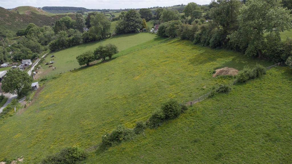 The Paddocks